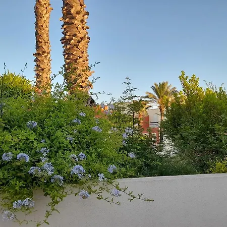 Cap Saint Martin Marina-3